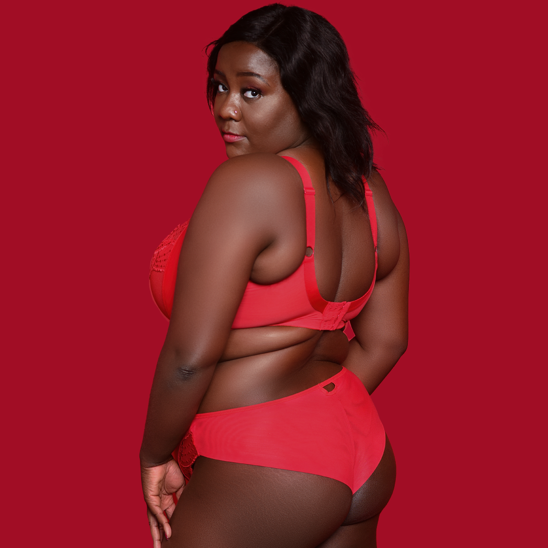 Priya UW Plunge Bra (HAD) - Image 2