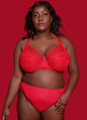 Priya UW Plunge Bra (HAD)