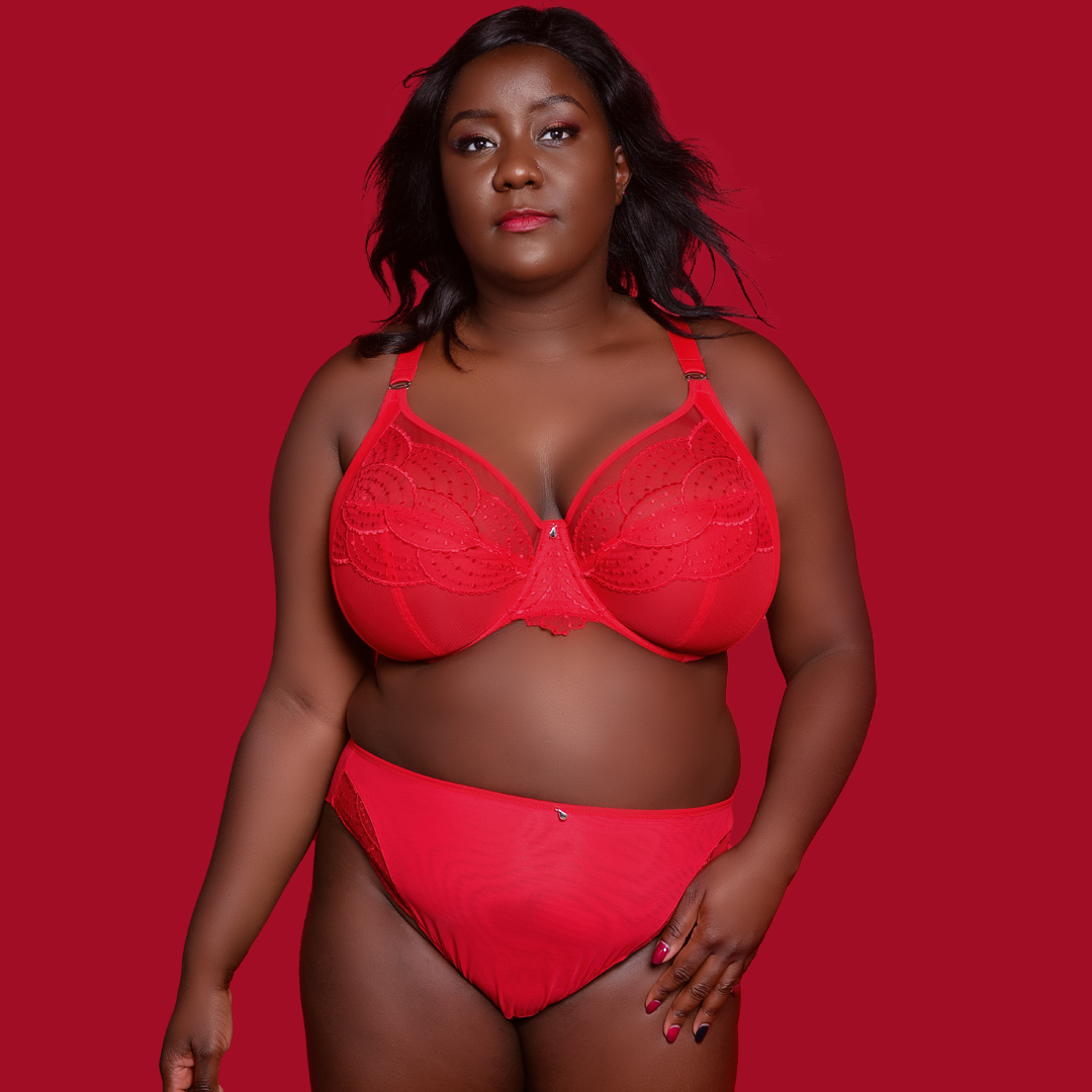 Priya UW Plunge Bra (HAD)