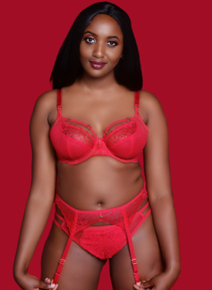 Temptress Plunge UW Bra (CHR)